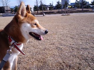 2011.3.25-2.JPG