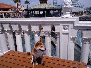 2011.4.26-5.JPG