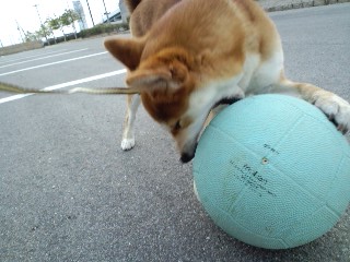 2011.5.7-1.JPG