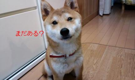おかわり