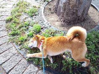 2011.5.4-4.JPG