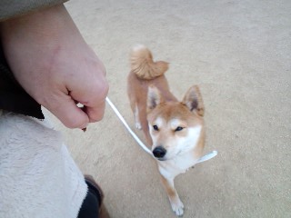 2011.3.6-3.JPG