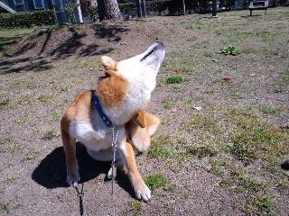 2011.4.4-2.JPG