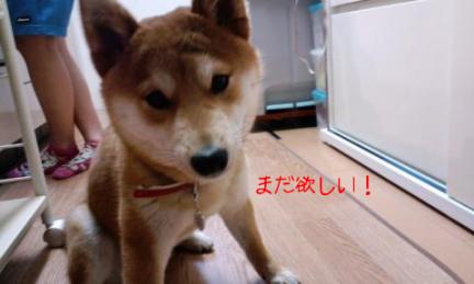 まだ欲しい！
