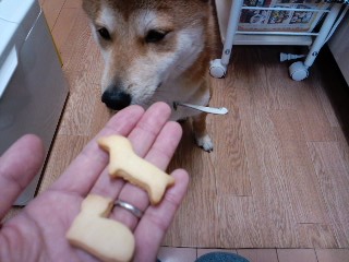 2011.2.27-2.JPG