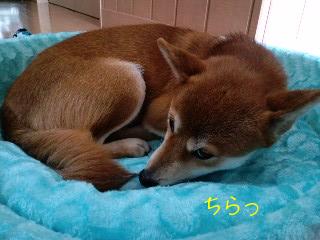 PA0_0365.JPG