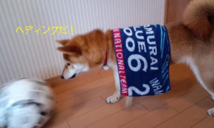 サッカー３