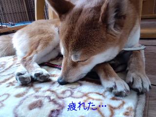 2011.4.23-2.JPG