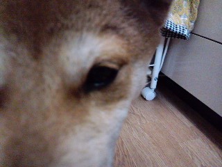 2011.2.27-3.JPG