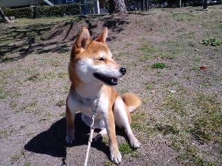 2011.4.4-4.JPG