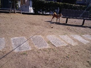 2011.1.22-4.JPG
