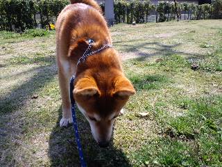 2011.4.24-8.JPG