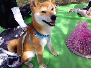 2011.4.10-2.JPG