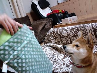 PA0_0035.JPG
