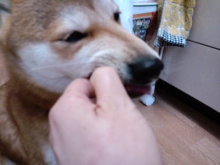 2011.2.27-4.JPG