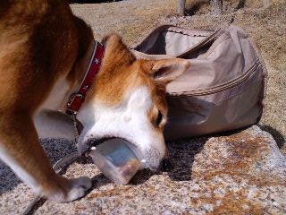 2011.5.8-2.JPG