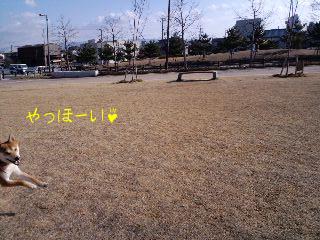 2011.1.26-1.JPG