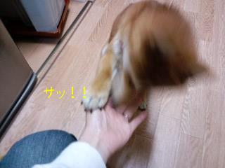 はやっ！