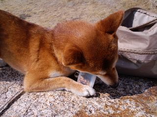 2011.5.8-4.JPG