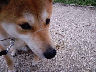 2011.5.24-2.JPG