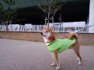2011.2.11-4.JPG