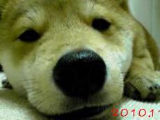 2010.11.7-3
