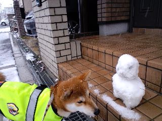 2011.2.12-2.JPG