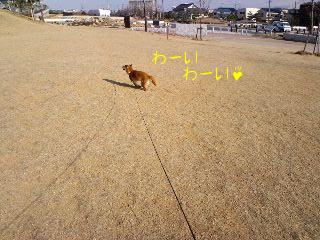 2011.1.26-3.JPG