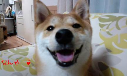 ゆでたまご４
