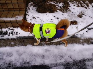 2011.2.12-4.JPG