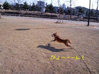 2011.1.26-5.JPG