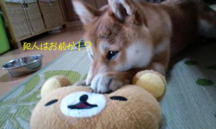 犯人はおまえか！？