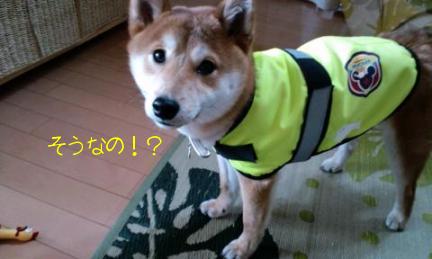 似合ってるの？