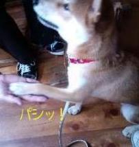 ターキーサンド４