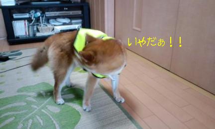 こんなのイヤだ