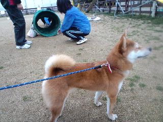 2011.3.7-4.JPG