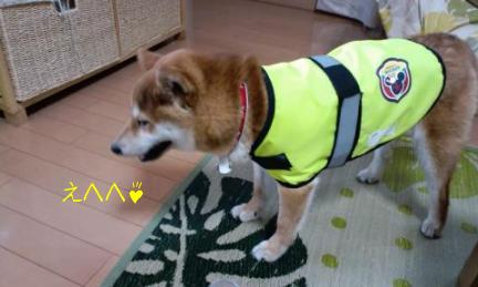 似合ってるのか～♪