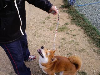 2011.2.7-2.JPG