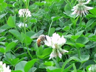 2011.6.23-2.JPG