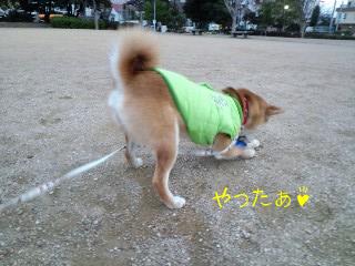 2011.1.8-6.JPG