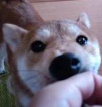 好きな写真４