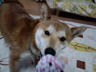 2011.4.16-21.JPG