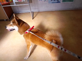 2011.2.2-3.JPG