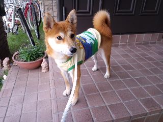 2011.3.22-2.JPG