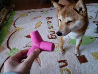 2011.5.6-1.JPG
