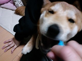 2011.3.27-3.JPG