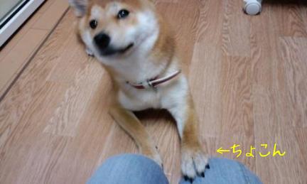 雨の日３