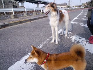 2011.2.2-5.JPG