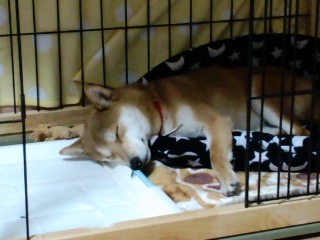 2011.2.23-3.JPG