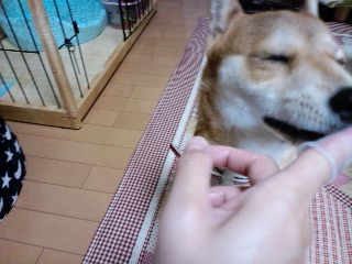 2010.12.22-8.JPG